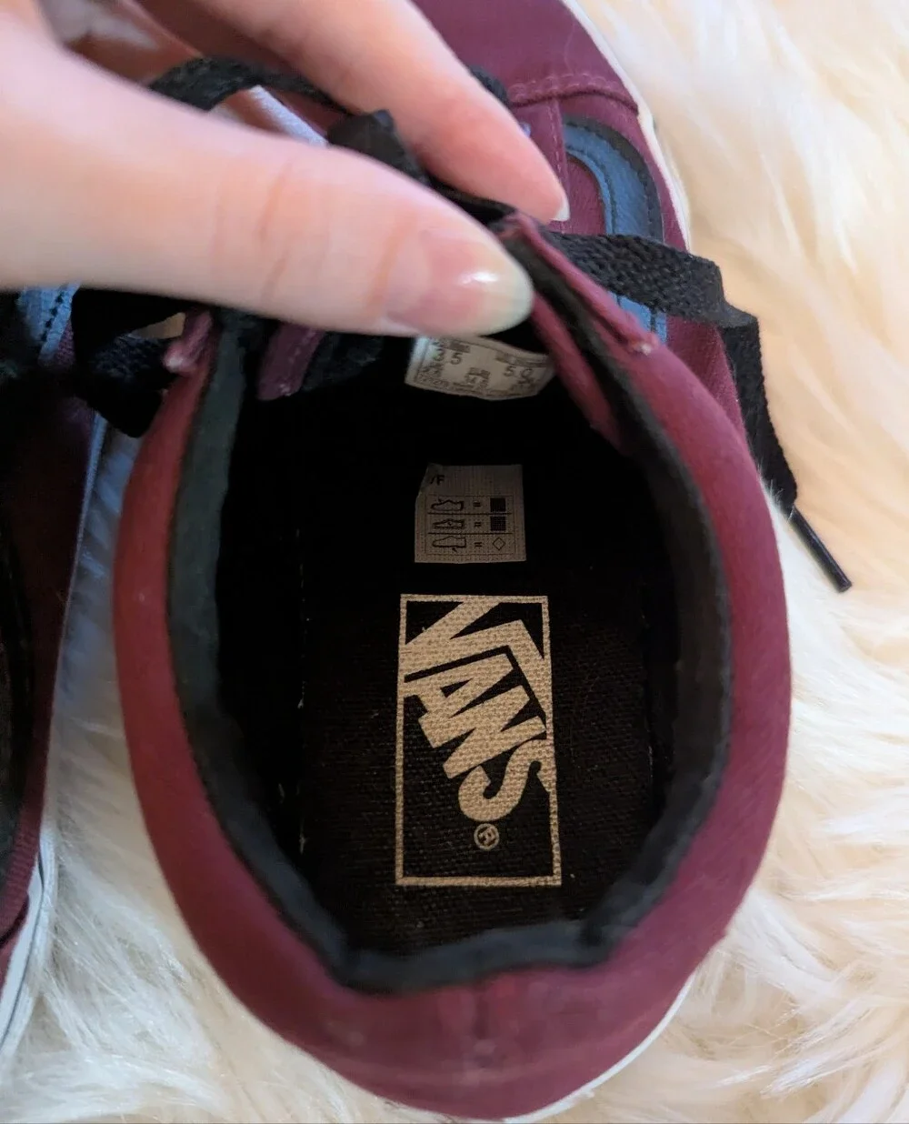 Vans Maroon Low Top Sneakers